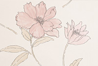 Laura Ashley BIRCHAM WALLPAPER