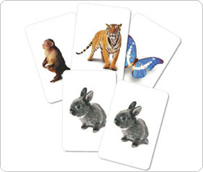 Leapfrog Animals Snap Cards