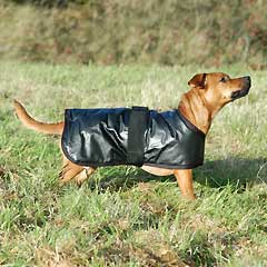 Dog Coat 20" LIMITED STOCK