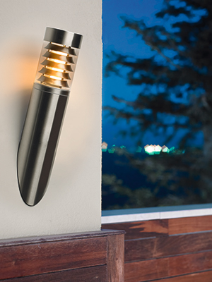 LEDS Lighting Priap Stainless Steel Outdoor Wall Light With An Energy Saving Bulb