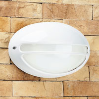 Zeus Modern IP44 Rated Outdoor Wall Light In Light Grey Aluminium