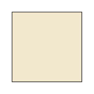 81B Col Temp Correction Resin Filter