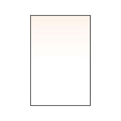 Lee Coral Grad 1 Resin Filter