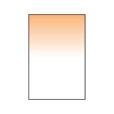 Lee Coral Grad 11 Resin Filter