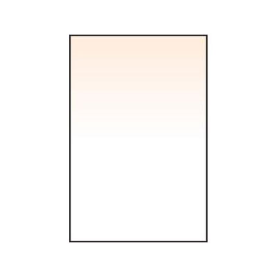 Lee Coral Grad 2 Resin Filter