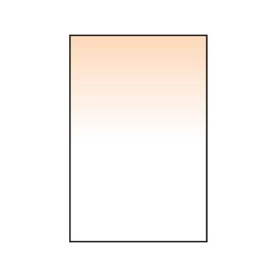 Lee Coral Graduated 5 Resin Filter