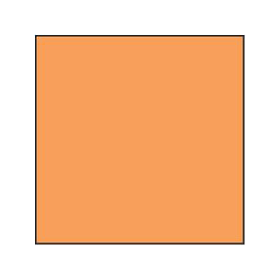 Lee Coral Std 14 Resin Filter