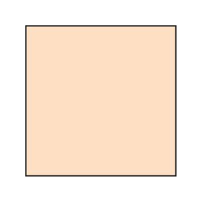 Lee Coral Std 4 Resin Filter