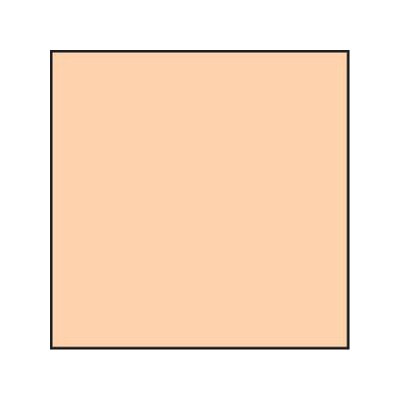 lee Coral Std 6 Resin Filter