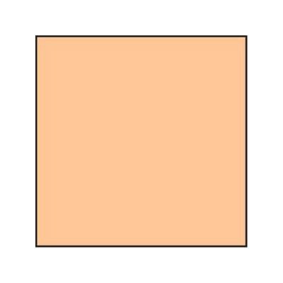 Lee Coral Std 8 Resin Filter