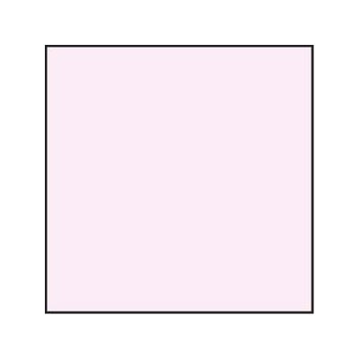 Lee Magenta 10 Poly CC Filter