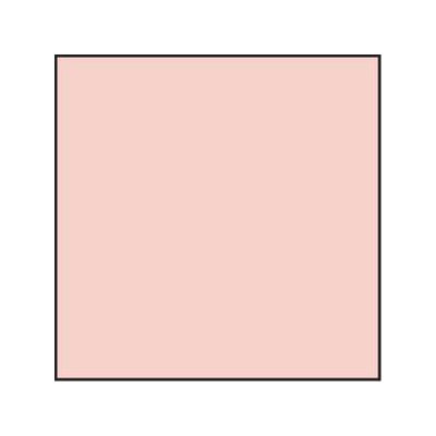 Lee Red 20 Resin Colour Correction Filter