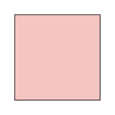 Lee Red 25 Poly CC Filter