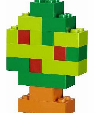 LEGO 5529 Basic Bricks and More