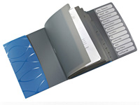 LEITZ Vivanto A4 blue polypropylene twelve part