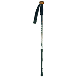 Leki Sierra Fotosystem Walking Pole
