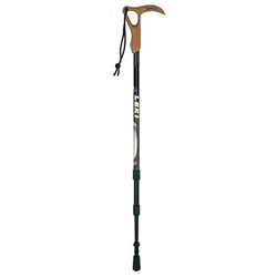 Leki WANDERFREUND ANTISHOCK WALKING STICK