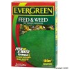 Levington Evergreen Feed and Weed Fast Greening