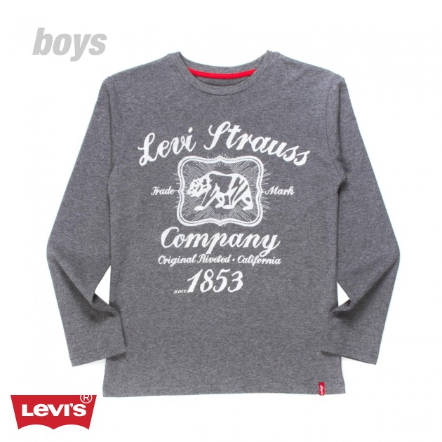 Levis Harvey Boys Long Sleeve T-Shirt - Grey