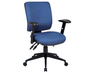 Lewes medium back posture chair