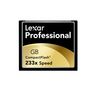 233x Professional 4GB Compact Flash Memory Card