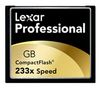 Professional Compact Flash Memory Card - 4 GB -
