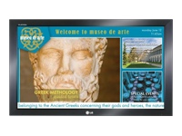 LG ELECTRONICS LG 52 LCD Monitor - no speakers