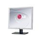 LG Electronics LG L1919S - Flat panel display -