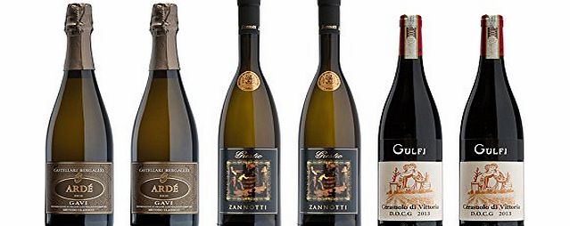 Libiamo Wines Mixed Top Italian Wine Selection (Case of 6)