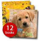 Life Cycles Collection - 12 Books