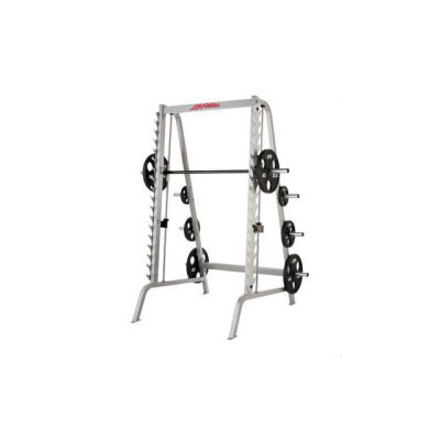 Life Fitness Smith Machine FSSM (Life Fitness Smith Machine FSSM with Assembly)