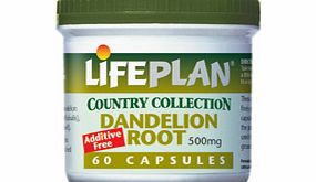Lifeplan Dandelion Root 60 Caps
