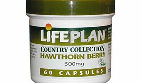 Lifeplan Hawthorn 500mg 60 Capsules