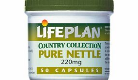 Lifeplan Nettle 50 Caps
