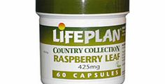 Lifeplan Raspberry Leaf 60 Caps