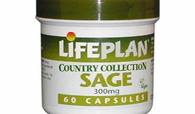 Lifeplan Sage 300mg 60 Caps