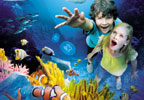 Lifestyle London Aquarium Special Offer Entry After 3pm