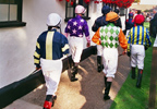 Newmarket Horseracing Experience