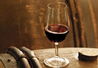 Lifestyle One Day Basic Wine Course for One (Saturdays)