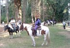 Lifestyle Two Hour Western Riding Experience