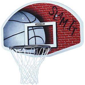 Lifetime Sports Hooptime Basketball Hoop