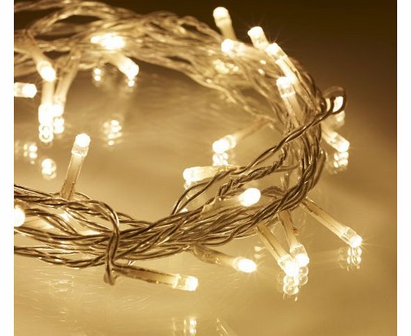 Lights4fun Indoor Fairy Lights with 40 Warm White LEDs on Clear Cable by Lights4fun