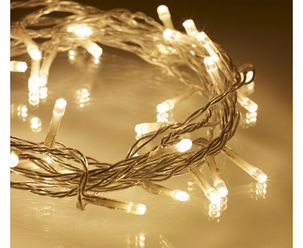 Lights4fun Indoor Fairy Lights with 40 Warm White LEDs on Clear Cable by Lights4fun