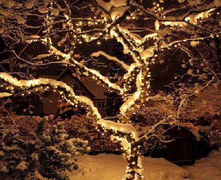 Lights4fun Outdoor Connectable Garden String Lights Type A with 114 Bulbs on 12m Green Cable by Lights4fun