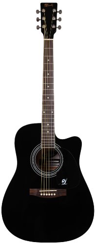 Lindo Apprentice Series Acoustic Guitar with Cutaway/Free Carry Case - Black Gloss