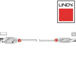Lindy Transparent USB 2.0 Cable Type A Male to