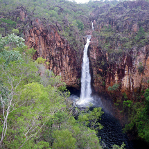 LITCHFIELD National Park Waterfalls Tour - Adult