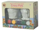 Paint and Grow Crazy Pots