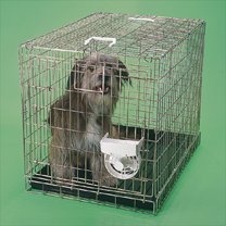 battery powered pet fan