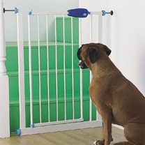 dog gate